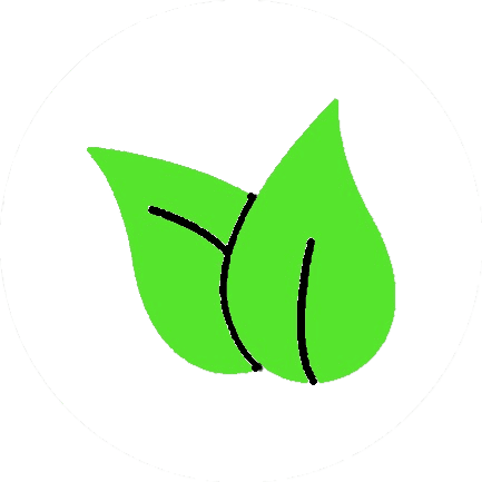Natural Oral Health Formula
