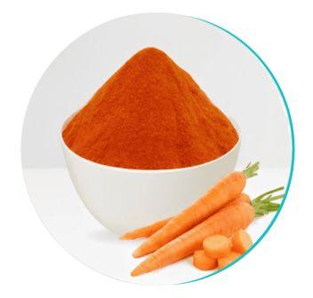 Carrot Powder for Dental Wellness