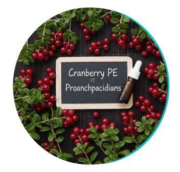 Cranberries for Oral Care