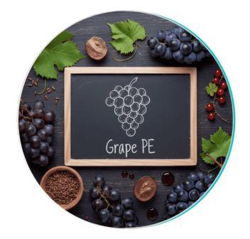 Grape Seed Extract